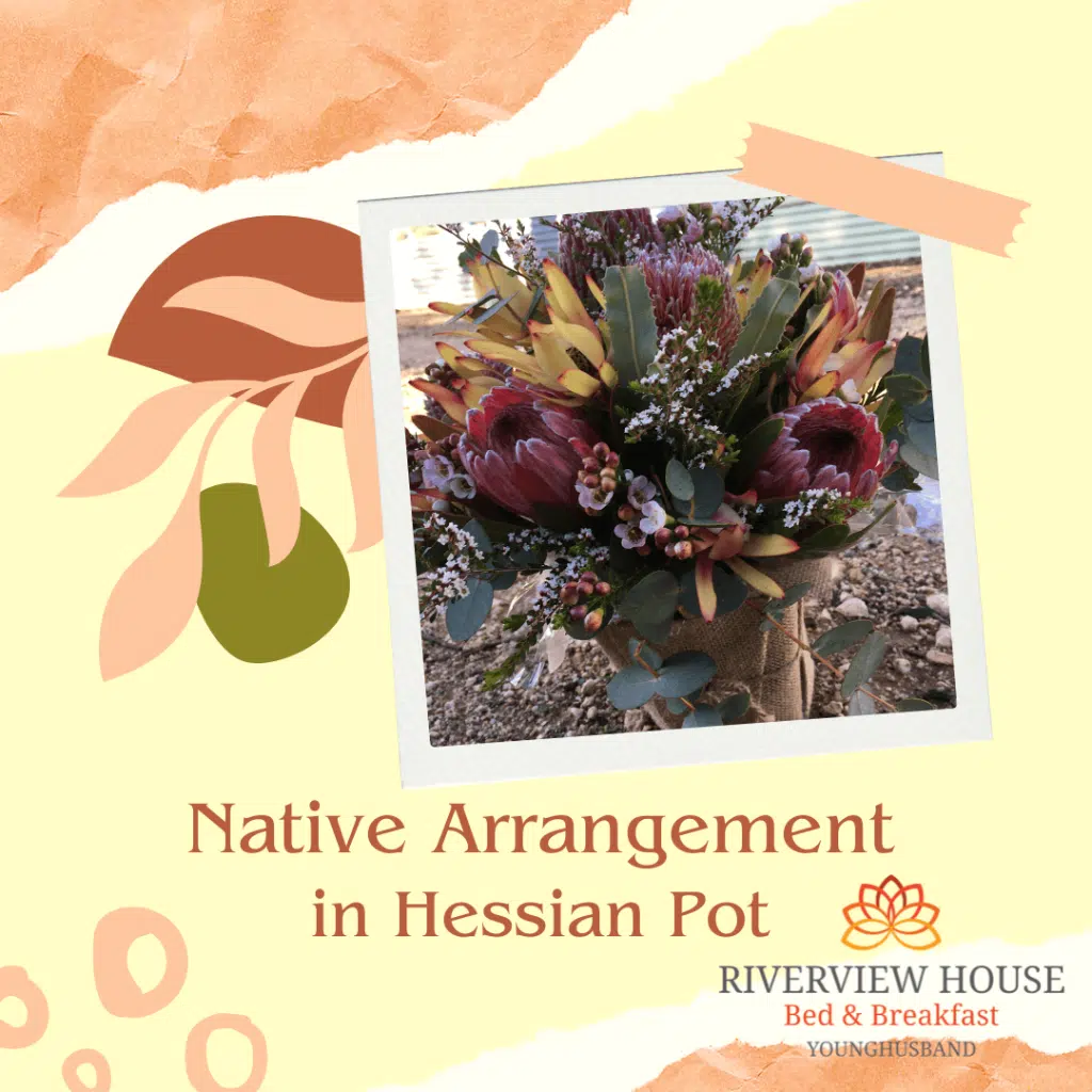 Riverview House Younghusband Native Arrangement in Hessian Pot